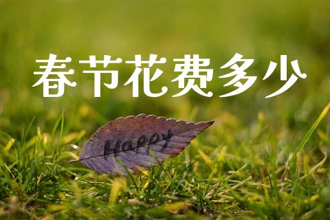 春节花费多少_https://wap.lxcailiao.com_融资担保_第1张