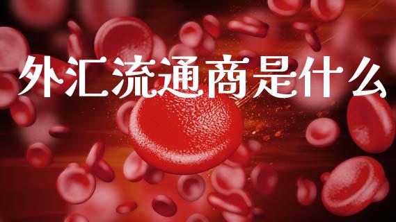 外汇流通商是什么_https://wap.lxcailiao.com_股权投资_第1张