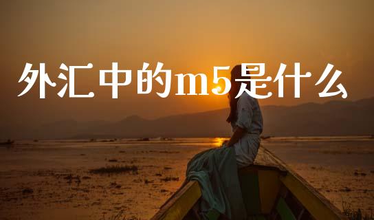 外汇中的m5是什么_https://wap.lxcailiao.com_融资担保_第1张