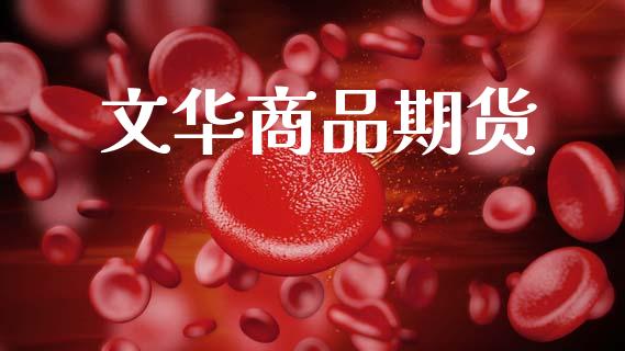 文华商品期货_https://wap.lxcailiao.com_财务管理_第1张