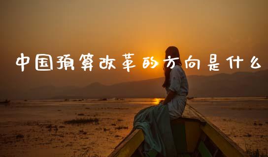 中国预算改革的方向是什么_https://wap.lxcailiao.com_财务管理_第1张