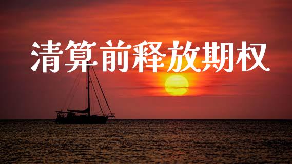 清算前释放期权_https://wap.lxcailiao.com_财务管理_第1张