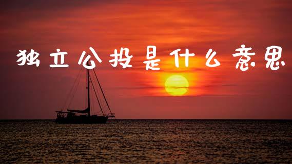 独立公投是什么意思_https://wap.lxcailiao.com_融资担保_第1张