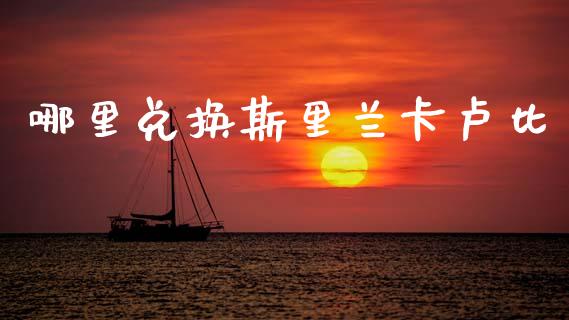哪里兑换斯里兰卡卢比_https://wap.lxcailiao.com_融资担保_第1张