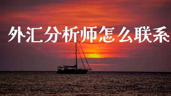 外汇分析师怎么联系_https://wap.lxcailiao.com_财务管理_第1张