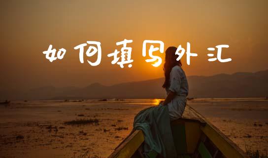 如何填写外汇_https://wap.lxcailiao.com_财务管理_第1张