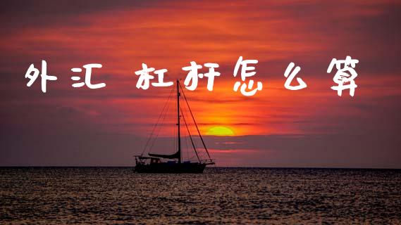 外汇 杠杆怎么算_https://wap.lxcailiao.com_股权投资_第1张