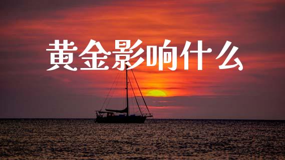 黄金影响什么_融资担保_第1张_金融监管_融资担保_财务管理_股权投资 黄金影响什么_https://wap.lxcailiao.com_融资担保_第1张