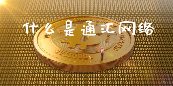 什么是通汇网络_https://wap.lxcailiao.com_股权投资_第1张