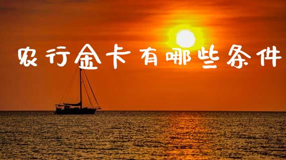 农行金卡有哪些条件_https://wap.lxcailiao.com_财务管理_第1张
