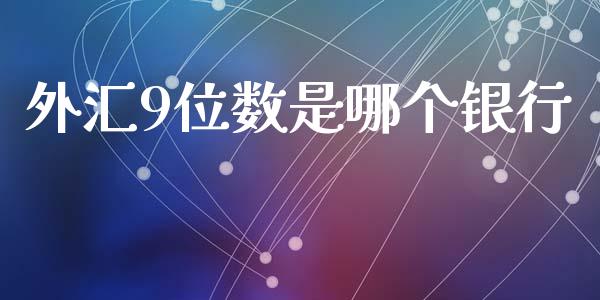 外汇9位数是哪个银行_https://wap.lxcailiao.com_财务管理_第1张