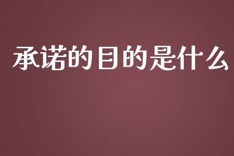 承诺的目的是什么_https://wap.lxcailiao.com_财务管理_第1张