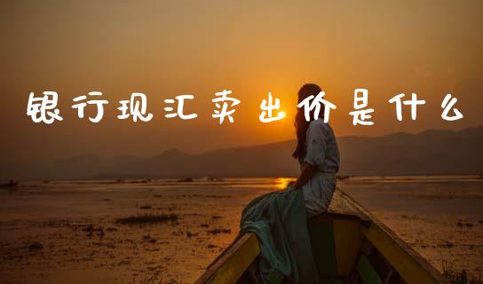 银行现汇卖出价是什么_https://wap.lxcailiao.com_金融监管_第1张