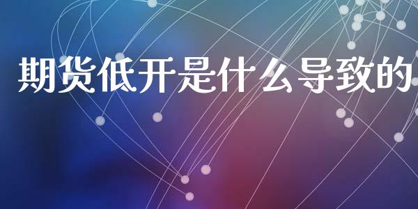 期货低开是什么导致的_https://wap.lxcailiao.com_金融监管_第1张