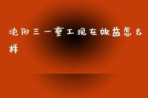 沈阳三一重工现在效益怎么样_https://wap.lxcailiao.com_股权投资_第1张