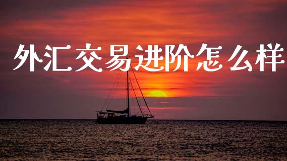 外汇交易进阶怎么样_https://wap.lxcailiao.com_金融监管_第1张
