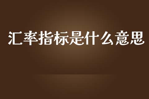 汇率指标是什么意思_https://wap.lxcailiao.com_金融监管_第1张
