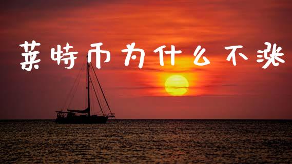 莱特币为什么不涨_https://wap.lxcailiao.com_股权投资_第1张