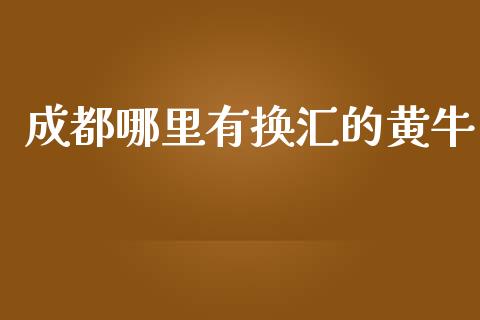 成都哪里有换汇的黄牛_https://wap.lxcailiao.com_融资担保_第1张