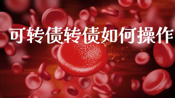 可转债转债如何操作_https://wap.lxcailiao.com_股权投资_第1张