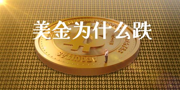 美金为什么跌_https://wap.lxcailiao.com_财务管理_第1张