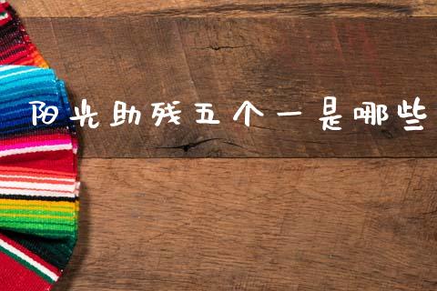 阳光助残五个一是哪些_https://wap.lxcailiao.com_金融监管_第1张