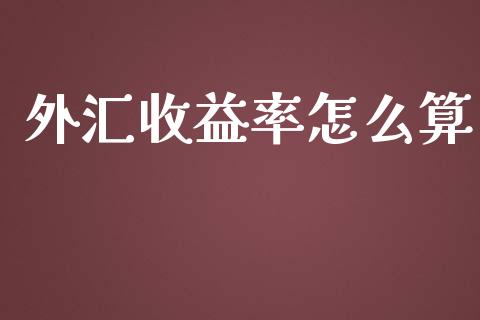 外汇收益率怎么算_https://wap.lxcailiao.com_金融监管_第1张