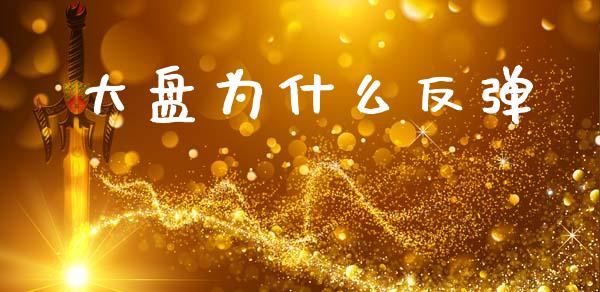 大盘为什么反弹_https://wap.lxcailiao.com_融资担保_第1张