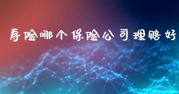 寿险哪个保险公司理赔好_https://wap.lxcailiao.com_金融监管_第1张