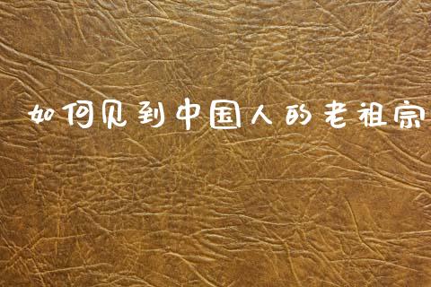 如何见到中国人的老祖宗_https://wap.lxcailiao.com_融资担保_第1张