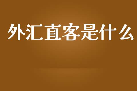 外汇直客是什么_https://wap.lxcailiao.com_金融监管_第1张
