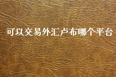 可以交易外汇卢布哪个平台_https://wap.lxcailiao.com_财务管理_第1张