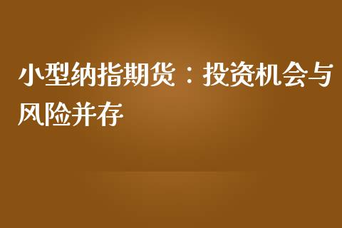 小型纳指期货：投资机会与风险并存_https://wap.lxcailiao.com_股权投资_第1张