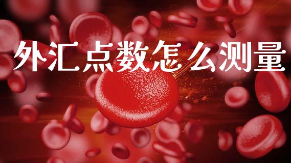 外汇点数怎么测量_https://wap.lxcailiao.com_融资担保_第1张