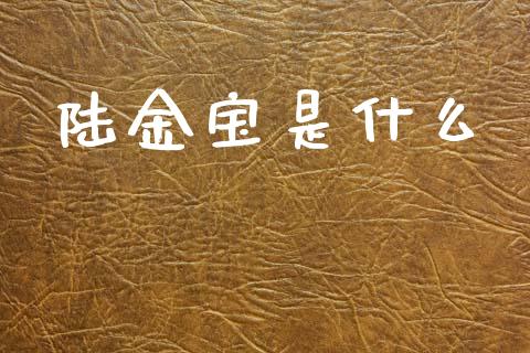 陆金宝是什么_https://wap.lxcailiao.com_金融监管_第1张