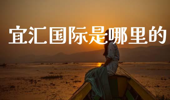 宜汇国际是哪里的_https://wap.lxcailiao.com_融资担保_第1张