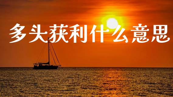 多头获利什么意思_https://wap.lxcailiao.com_股权投资_第1张
