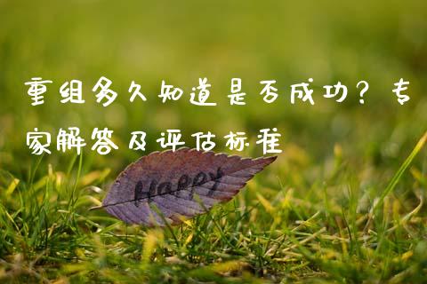 重组多久知道是否成功？专家解答及评估标准_https://wap.lxcailiao.com_财务管理_第1张