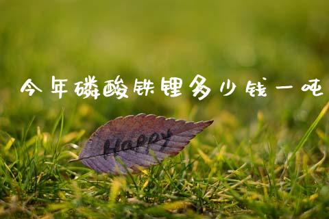 今年磷酸铁锂多少钱一吨_金融监管_第1张_金融监管_融资担保_财务管理_股权投资 今年磷酸铁锂多少钱一吨_https://wap.lxcailiao.com_金融监管_第1张