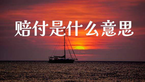 赔付是什么意思_https://wap.lxcailiao.com_融资担保_第1张