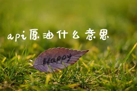 api原油什么意思_https://wap.lxcailiao.com_融资担保_第1张