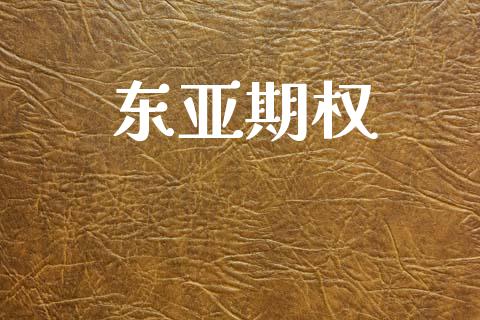 东亚期权_https://wap.lxcailiao.com_融资担保_第1张