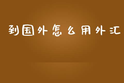到国外怎么用外汇_https://wap.lxcailiao.com_融资担保_第1张