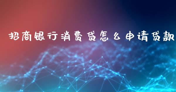 招商银行消费贷怎么申请贷款_https://wap.lxcailiao.com_融资担保_第1张