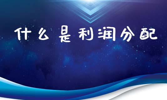 什么是利润分配_https://wap.lxcailiao.com_金融监管_第1张
