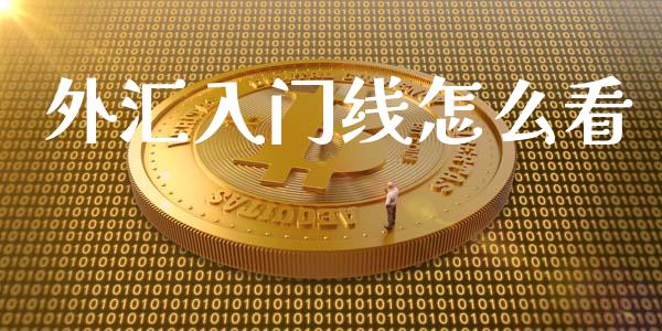 外汇入门线怎么看_https://wap.lxcailiao.com_金融监管_第1张