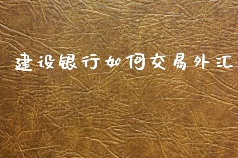 建设银行如何交易外汇_https://wap.lxcailiao.com_金融监管_第1张