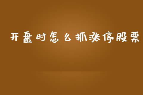开盘时怎么抓涨停股票_https://wap.lxcailiao.com_融资担保_第1张