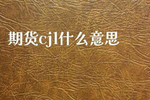 期货cjl什么意思_https://wap.lxcailiao.com_融资担保_第1张