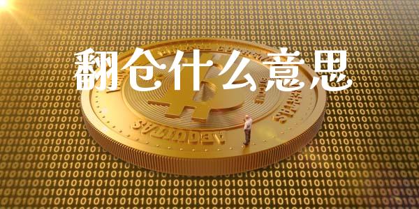 翻仓什么意思_https://wap.lxcailiao.com_金融监管_第1张